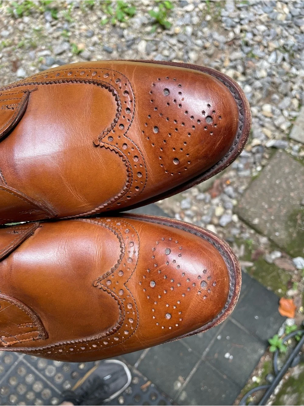 Allen Edmonds McGregor Wingtip Oxford Shoes Size 11.5 D
